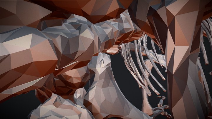 Richard Bone 3D Model