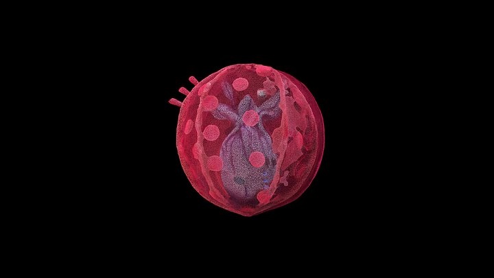 Baby Pod - iMother (Pointcloud) 3D Model