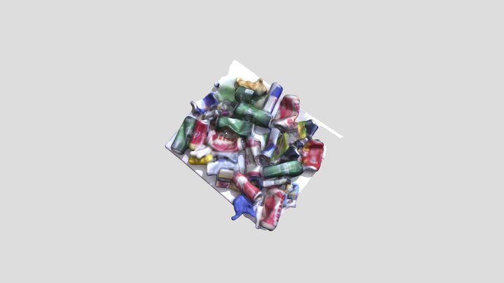 New Skanect Model 3D Model