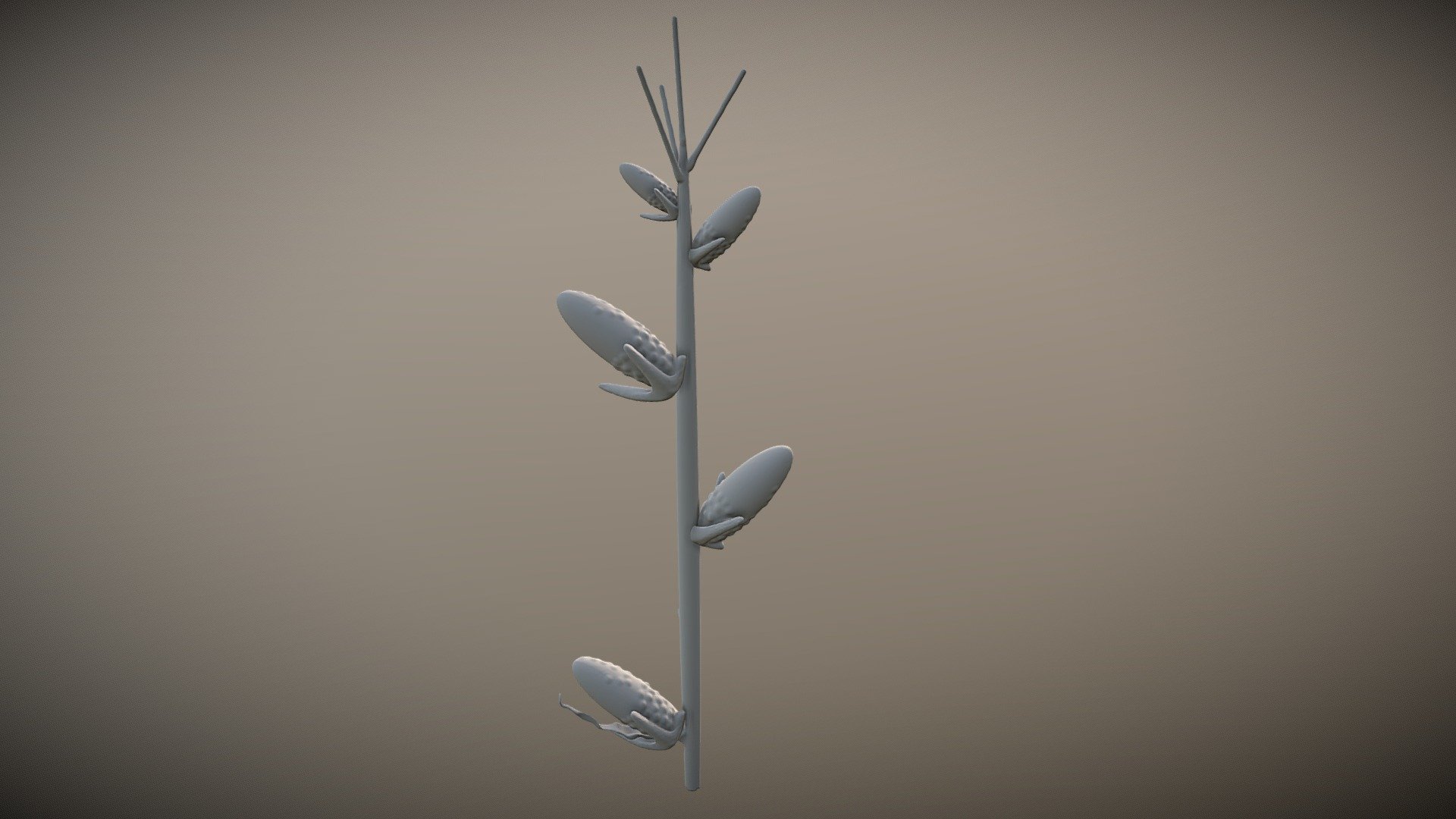 GMO Corn Plant (no color)