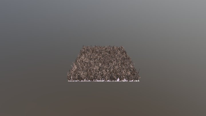 Rug 3D Model