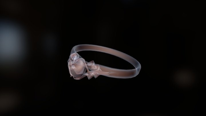 Ring 1 Diam 3D Model