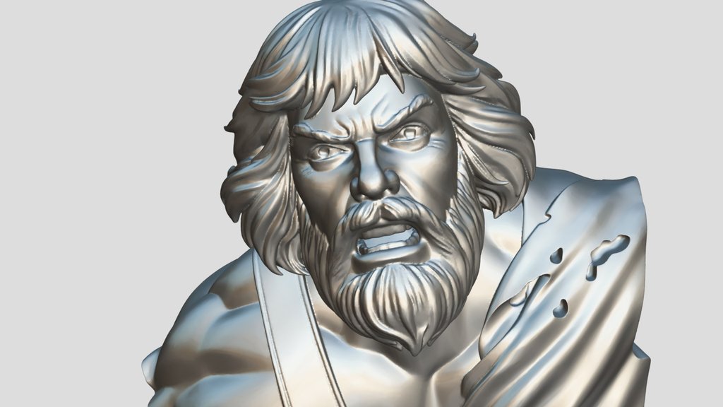 Bearded Blonde Warrior