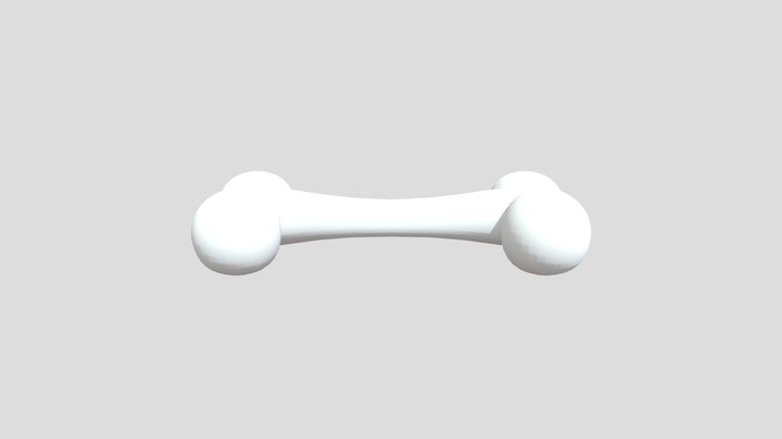 Simple Bone 3D Model