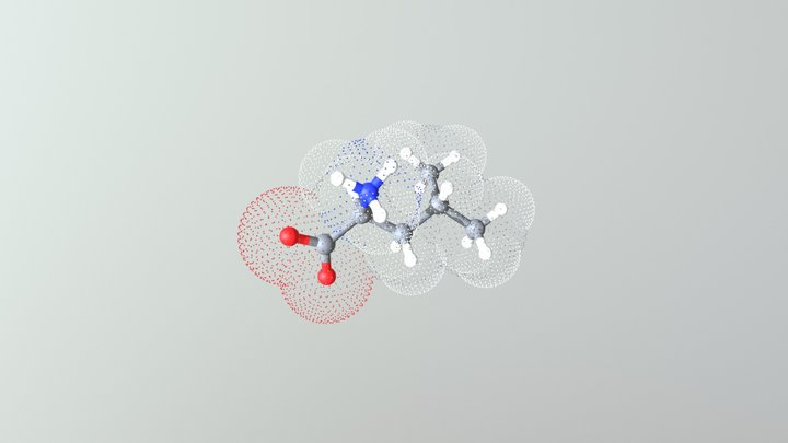Leucine 3D Model