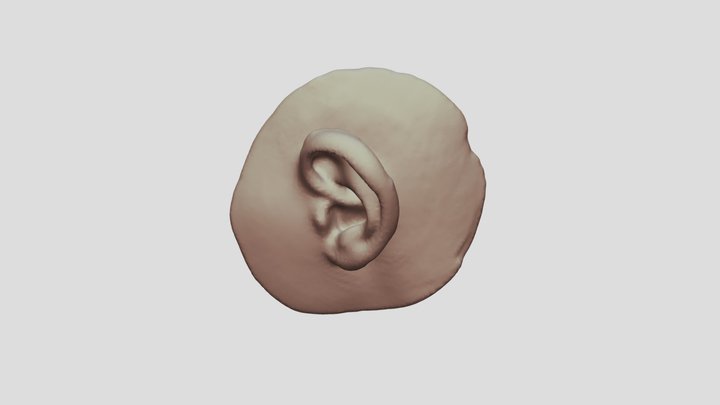Ear 3D Model