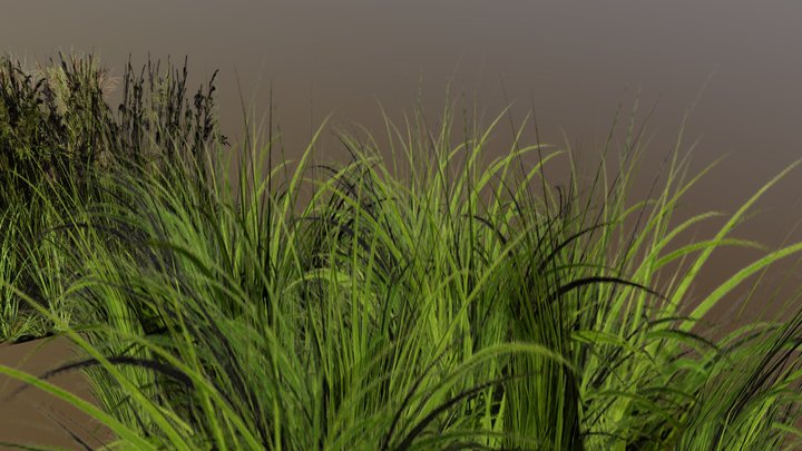 Grass v4 3D Model