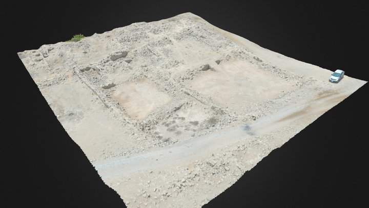 Pampa de Flores (Pirámide con Rampa 8) 3D Model