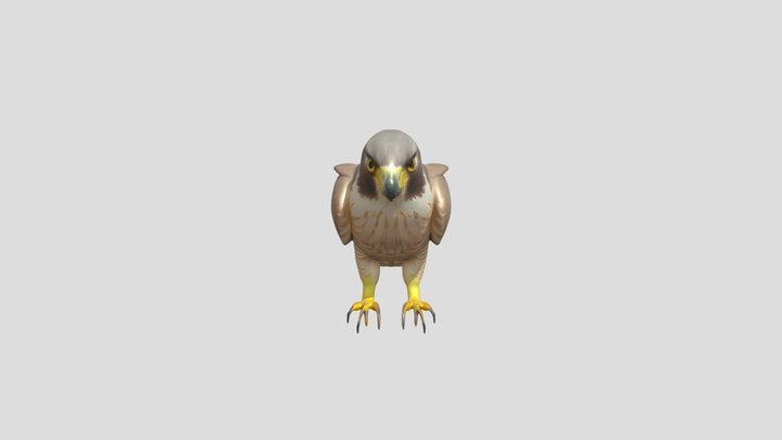 Сапсан Peregrine falcon 3D Model
