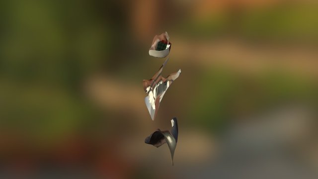 New model 3D Model