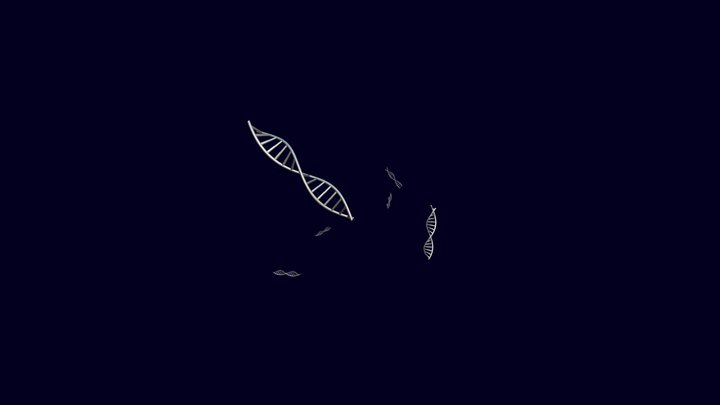 DNA EVOLUTION 3D Model