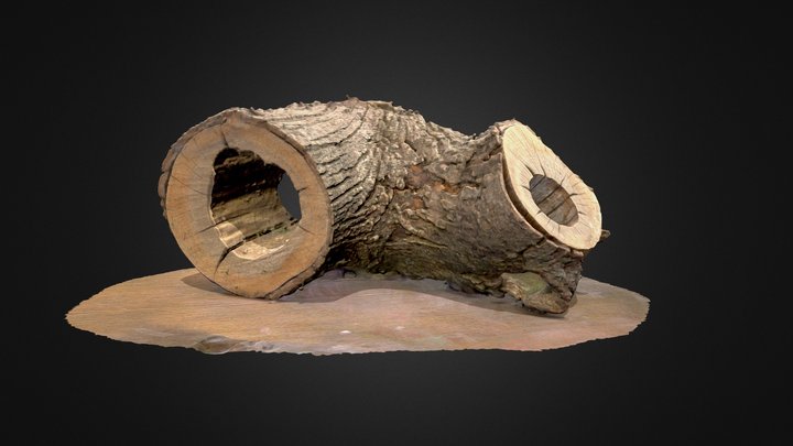 stump2 3D Model