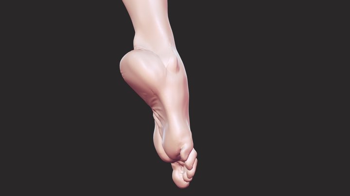 ZBrush Sculpt Anatomy Study foot 3D Model
