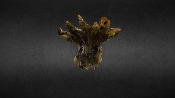 Half Life Barnacle 3D Model