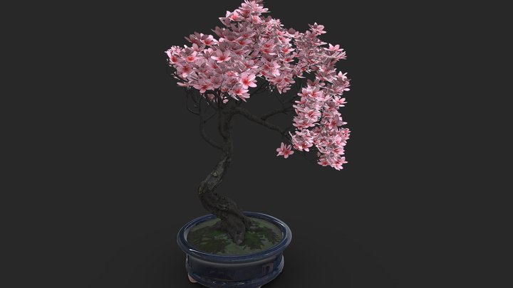 Bonsai – Kostenloses 3D-Modell STL