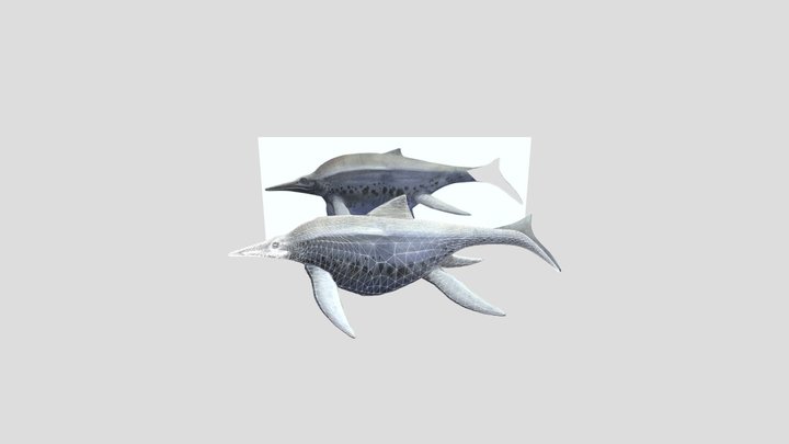 Shonisaurus 3D Model