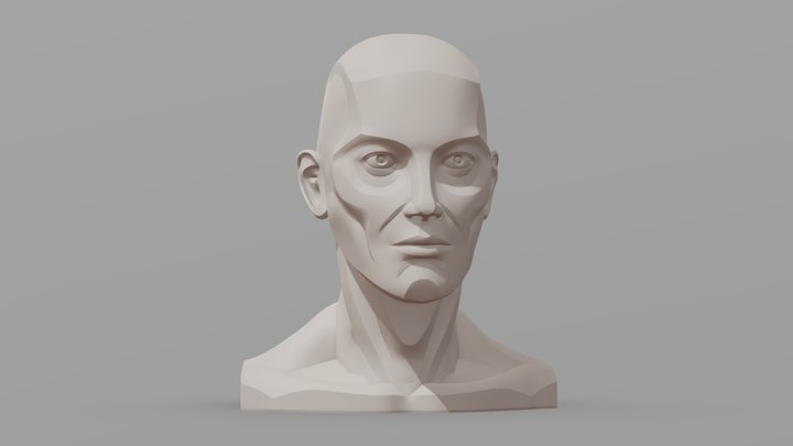 Male Planar Sculpted Head Drawing Reference 3D Model
