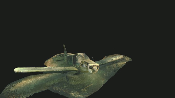 Plane of Tougues 3D Model