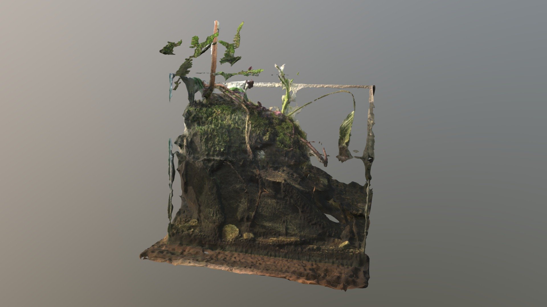 Tank