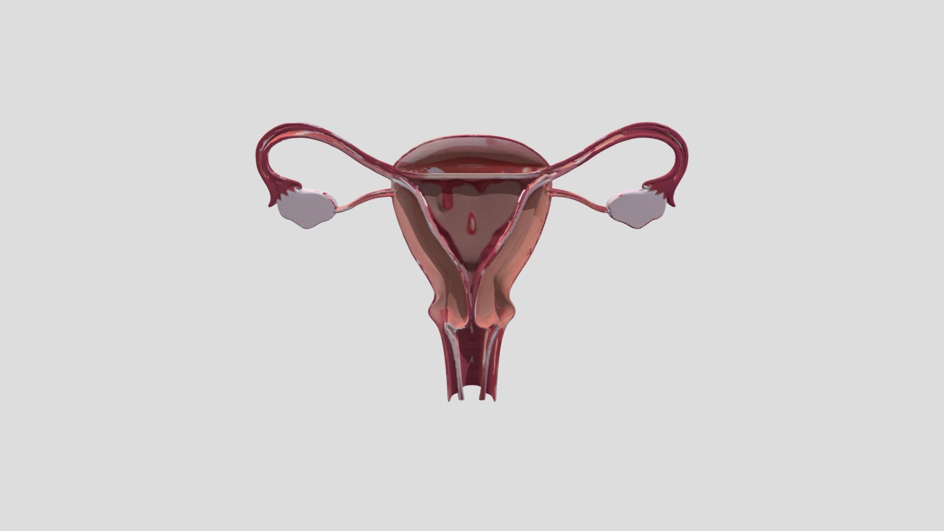 Menstrual Phase - 3D model by Nichelle0715 [b011da1] - Sketchfab