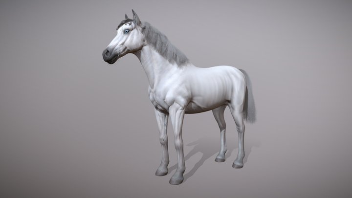 PBR White Horse 3D model 3D Model