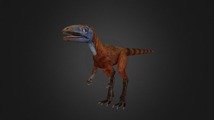 Sinosauropteryx 3D Model