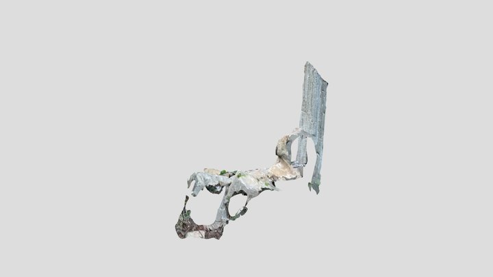 Forest scan #3 3D Model