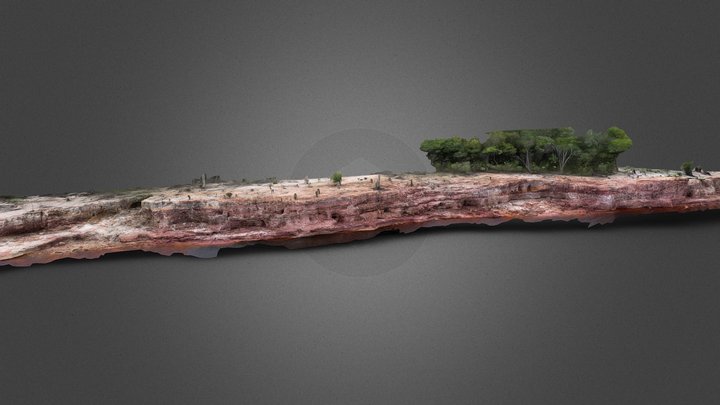 Fm. Alter do Chão (Icnofósseis no Arenito) - AM 3D Model