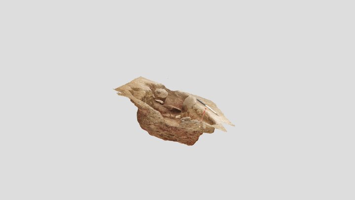 SM2020 3D Model