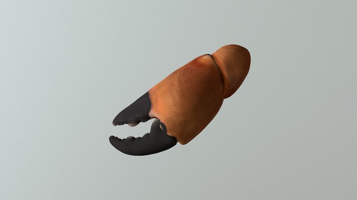 Crab 3D Model