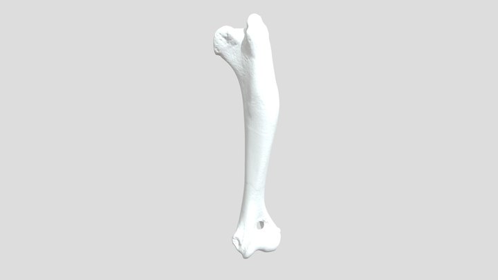 m15 3D Model