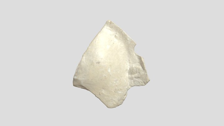 Sample 25 3D Model