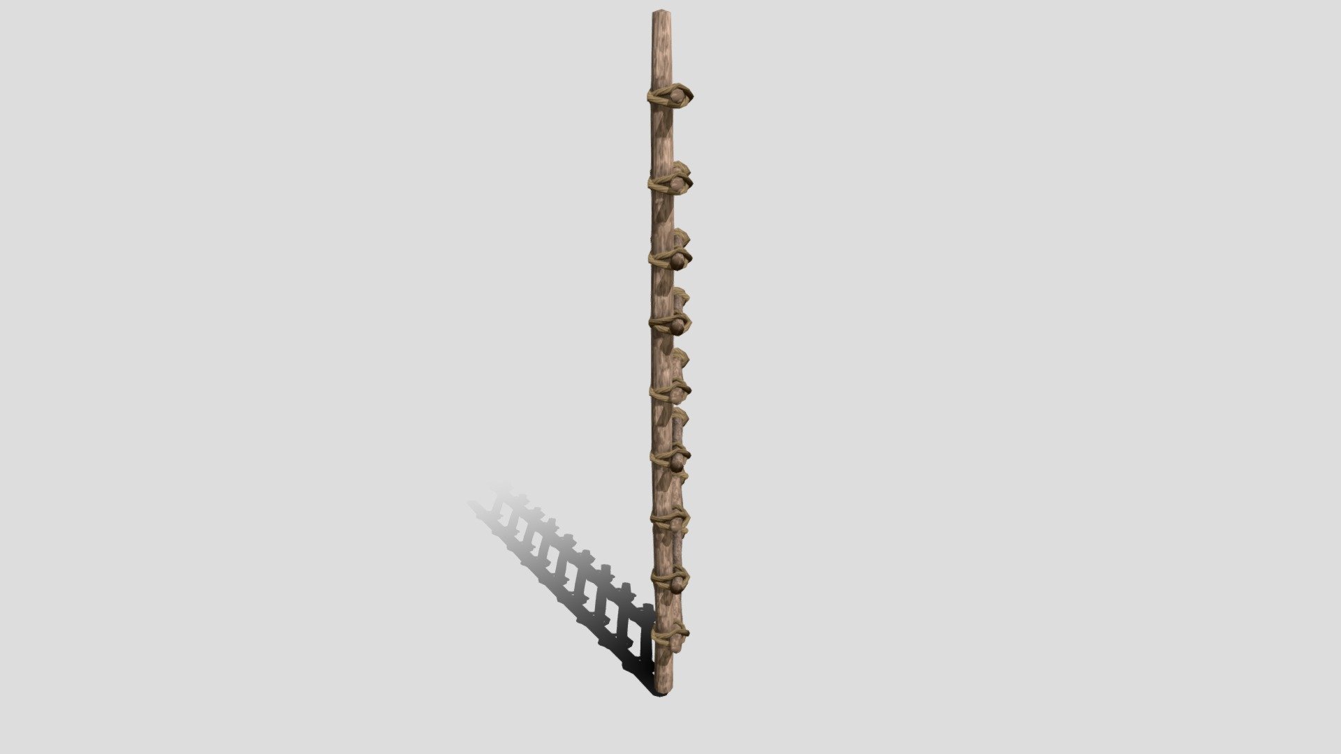 Ladder
