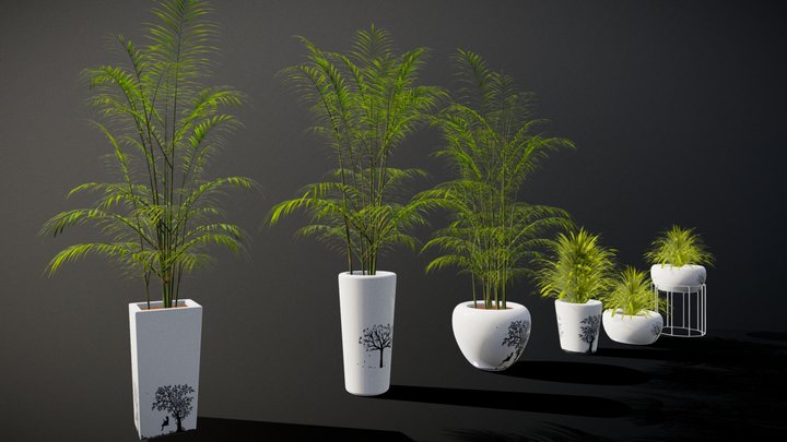 Potted Plants 3D Model