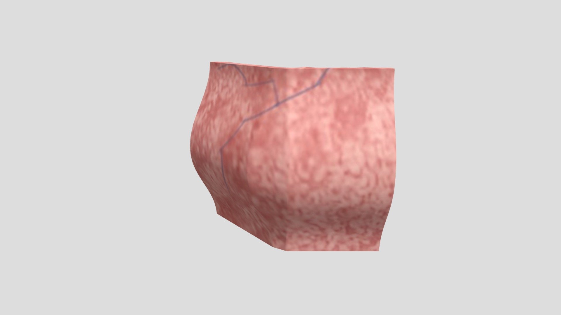 Flesh Wall Curved