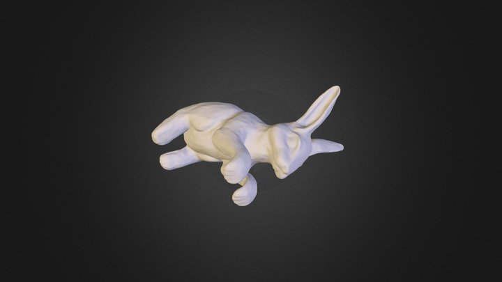 Conigliok 3D Model