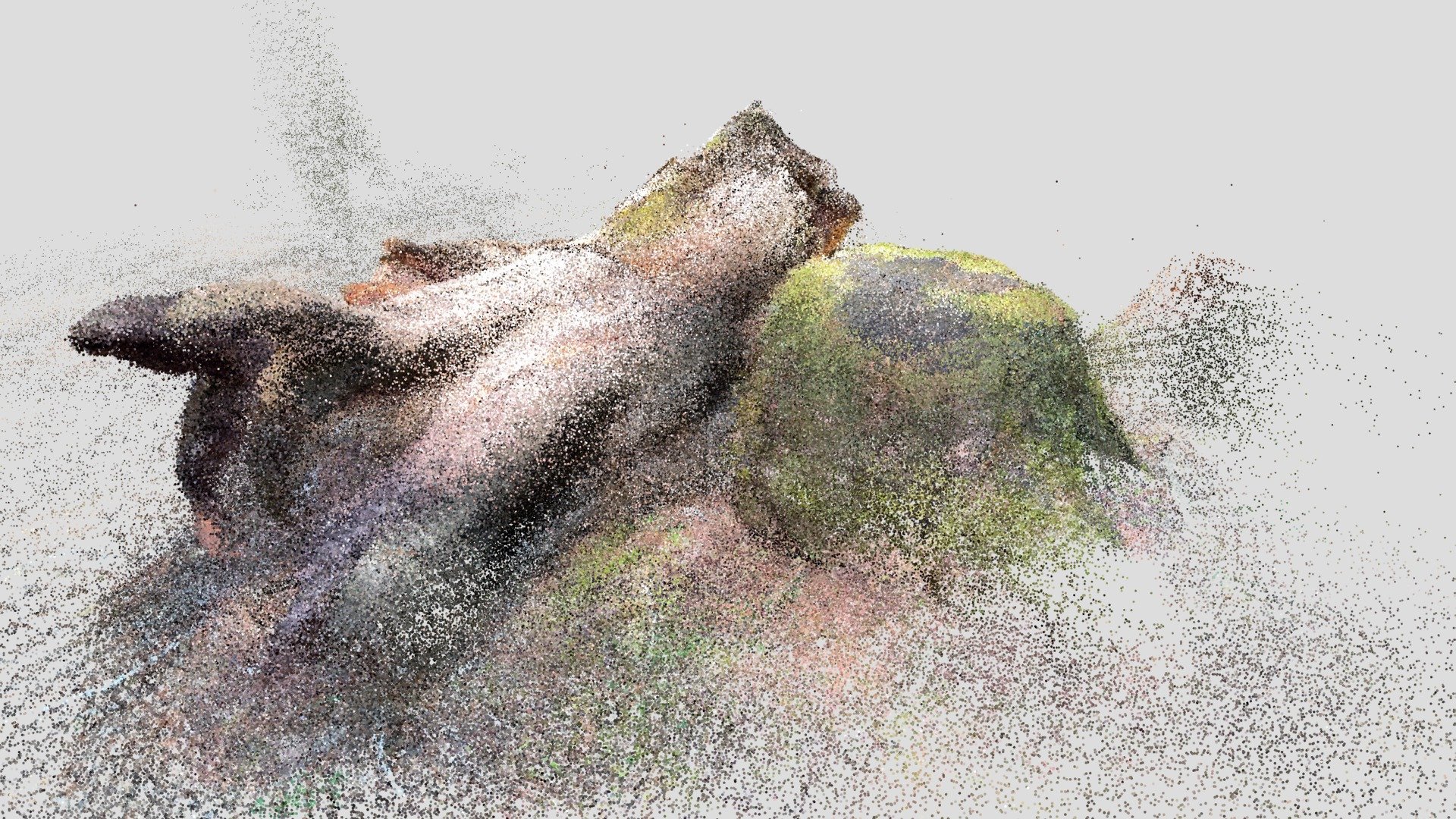 Marion Forks5-Lidar scan
