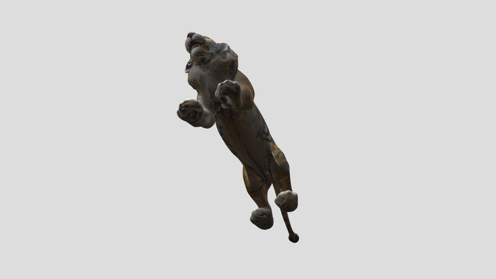 Tiger_Lion_Hybrid__0210104834_texture_fbx 3D Model