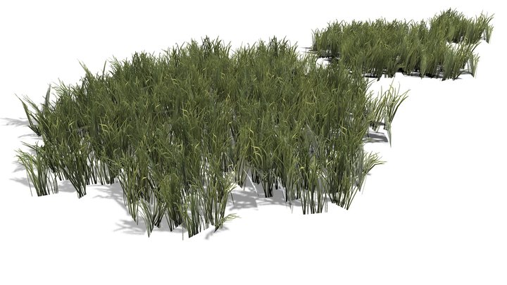 S Swamp Grass Patch 3D Model