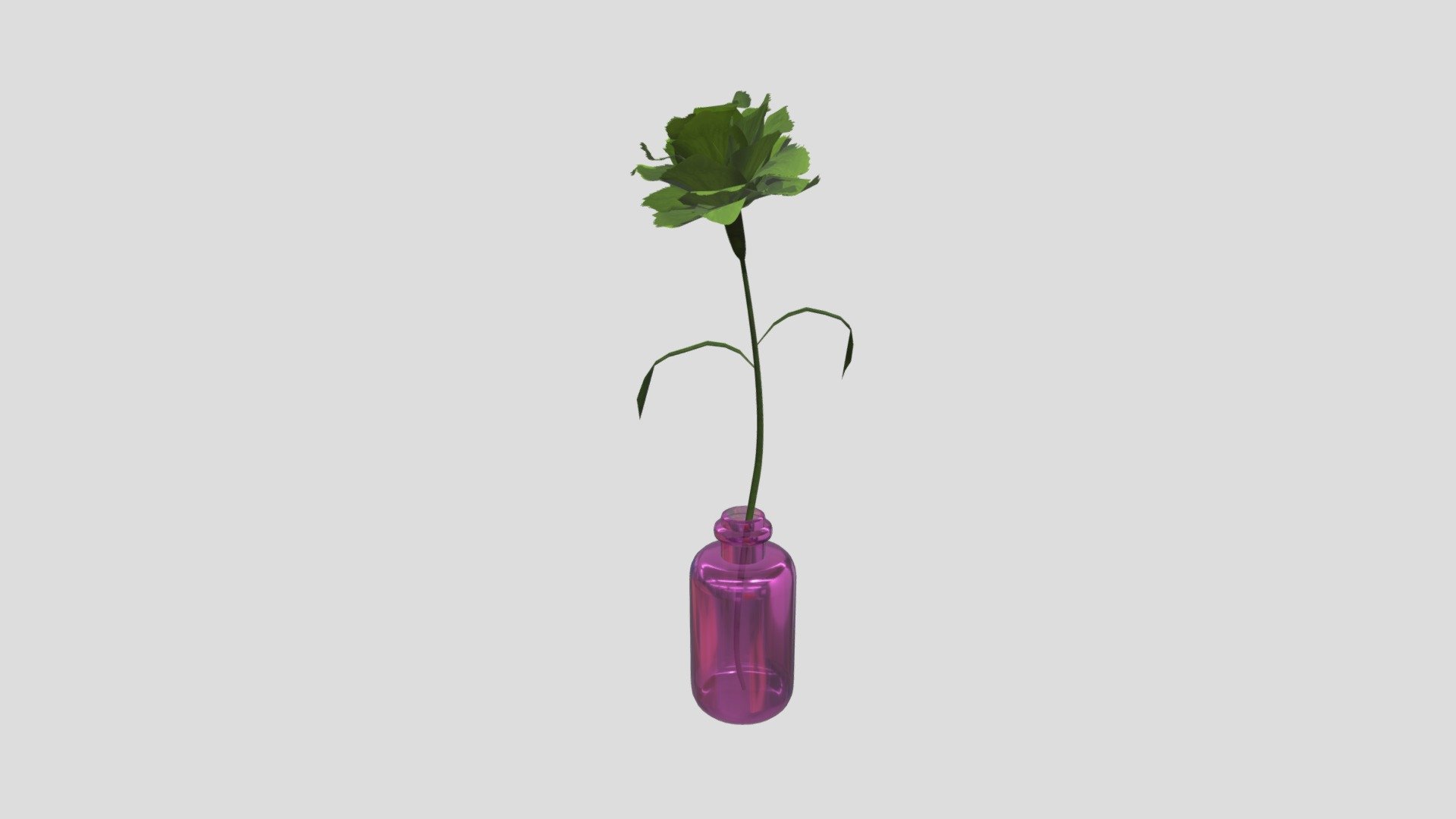 Single flower/Carnation - yellow green