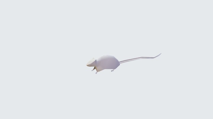 rat 3D Model