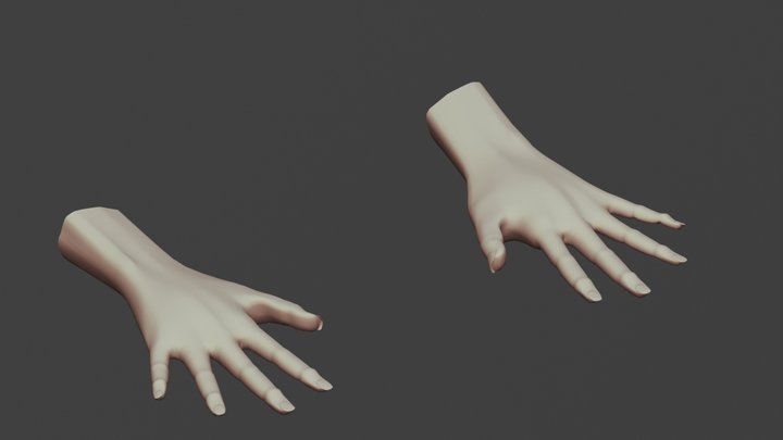 test hands 3D Model