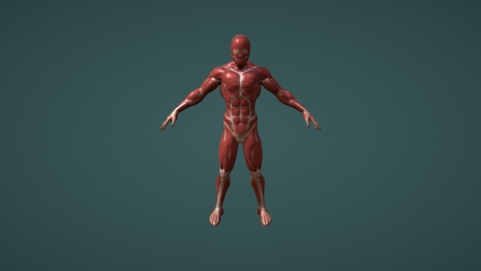 2283 DRIF OUSSAMA ANATOMY