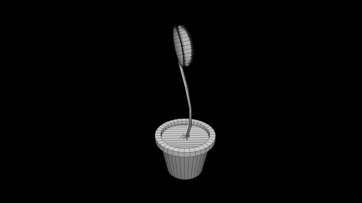 CT4012 - Venus Fly Trap - Venus Fly Trap 3D Model