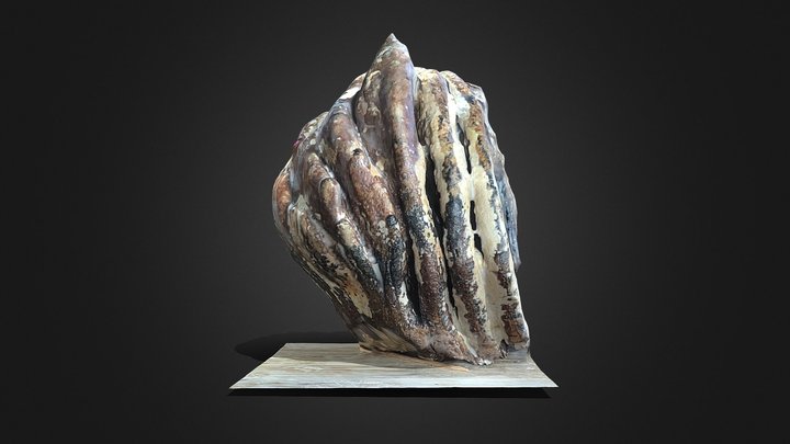Woolly Mammoth  Tooth – Modello 3D gratuito STL