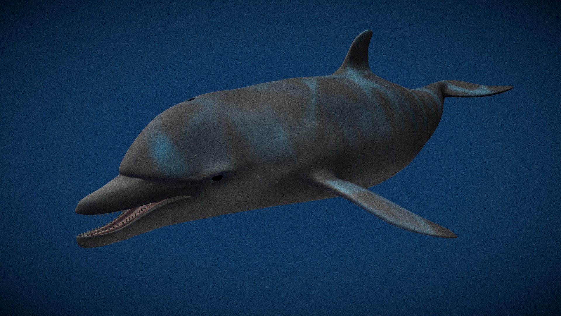 3D model Dolphin - This is a 3D model of the Dolphin. The 3D model is about a dolphin swimming in the water.