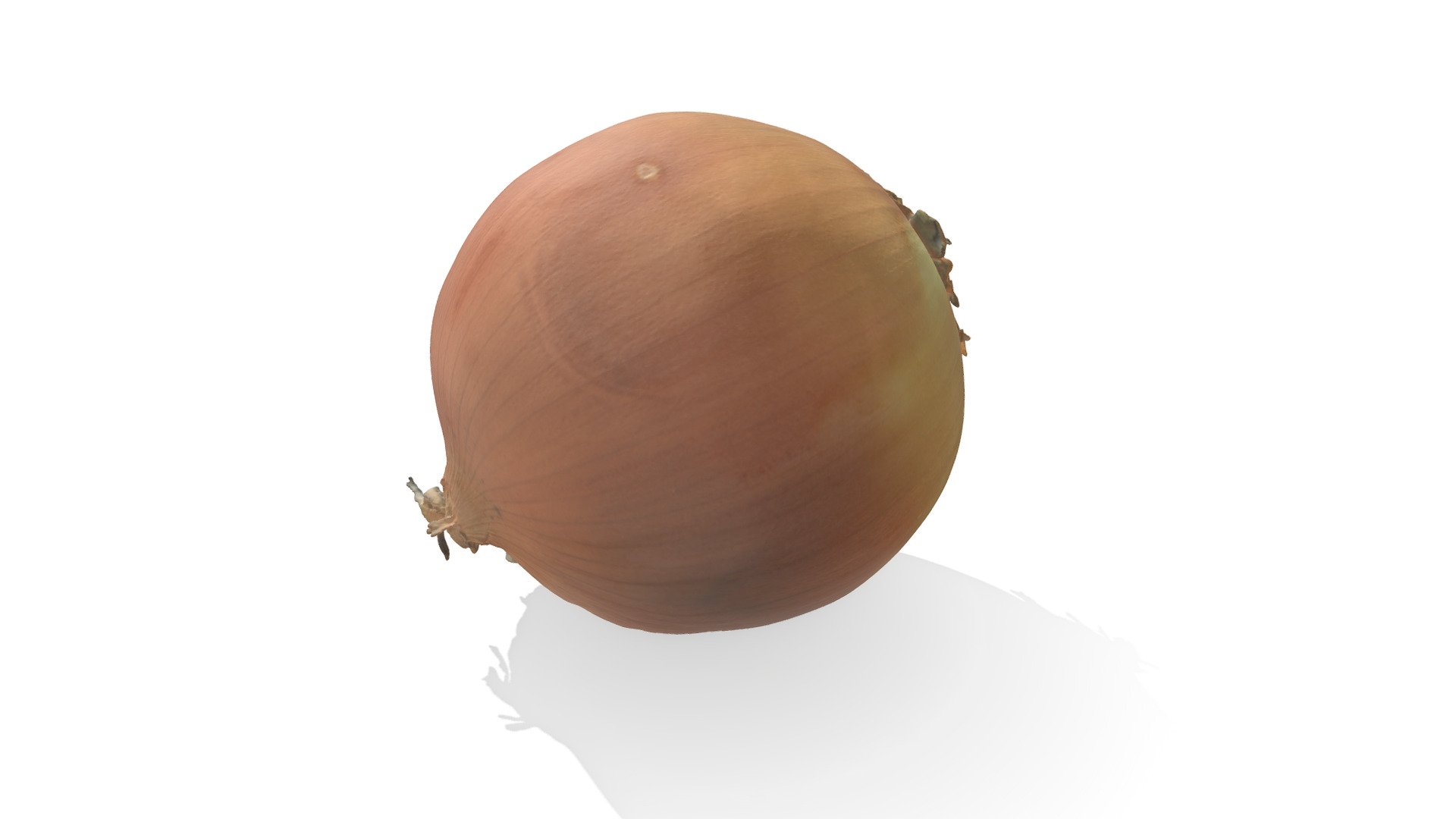 Onion 3D Scan