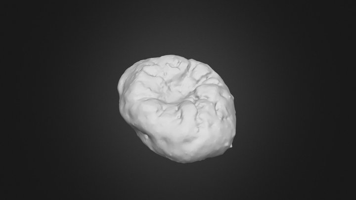 20250114_hailstone_4 3D Model