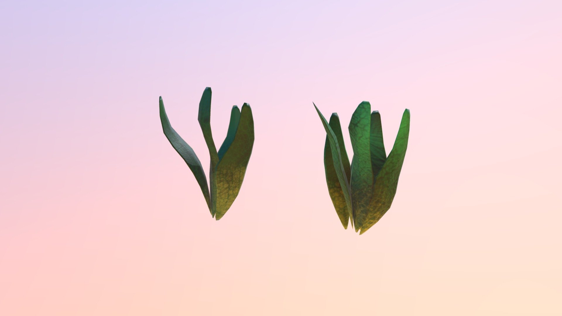 Environment assets Plants textured