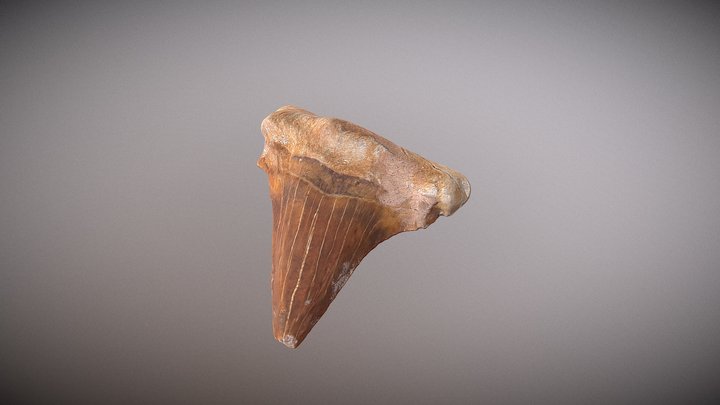 나의 첫 3D 모델 업로드 3D Model